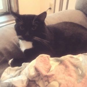 Meet your Posher, David